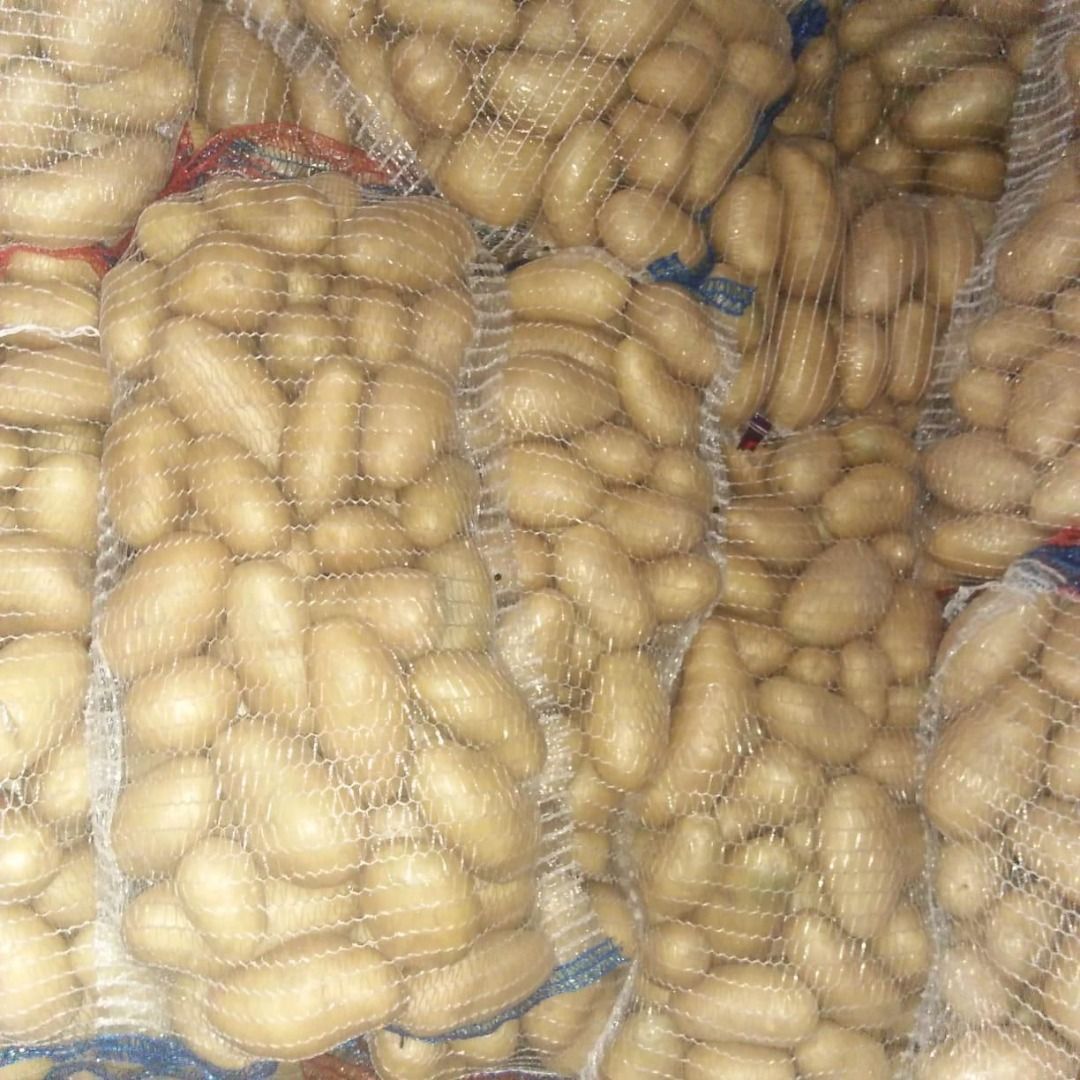 Patatas