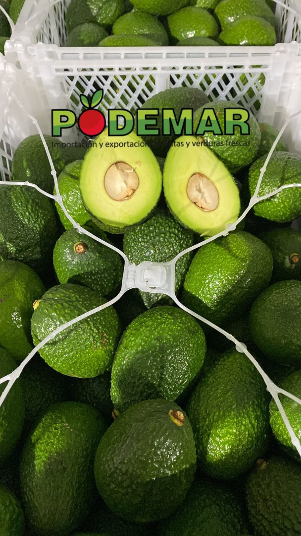 Aguacate | Imagen 2