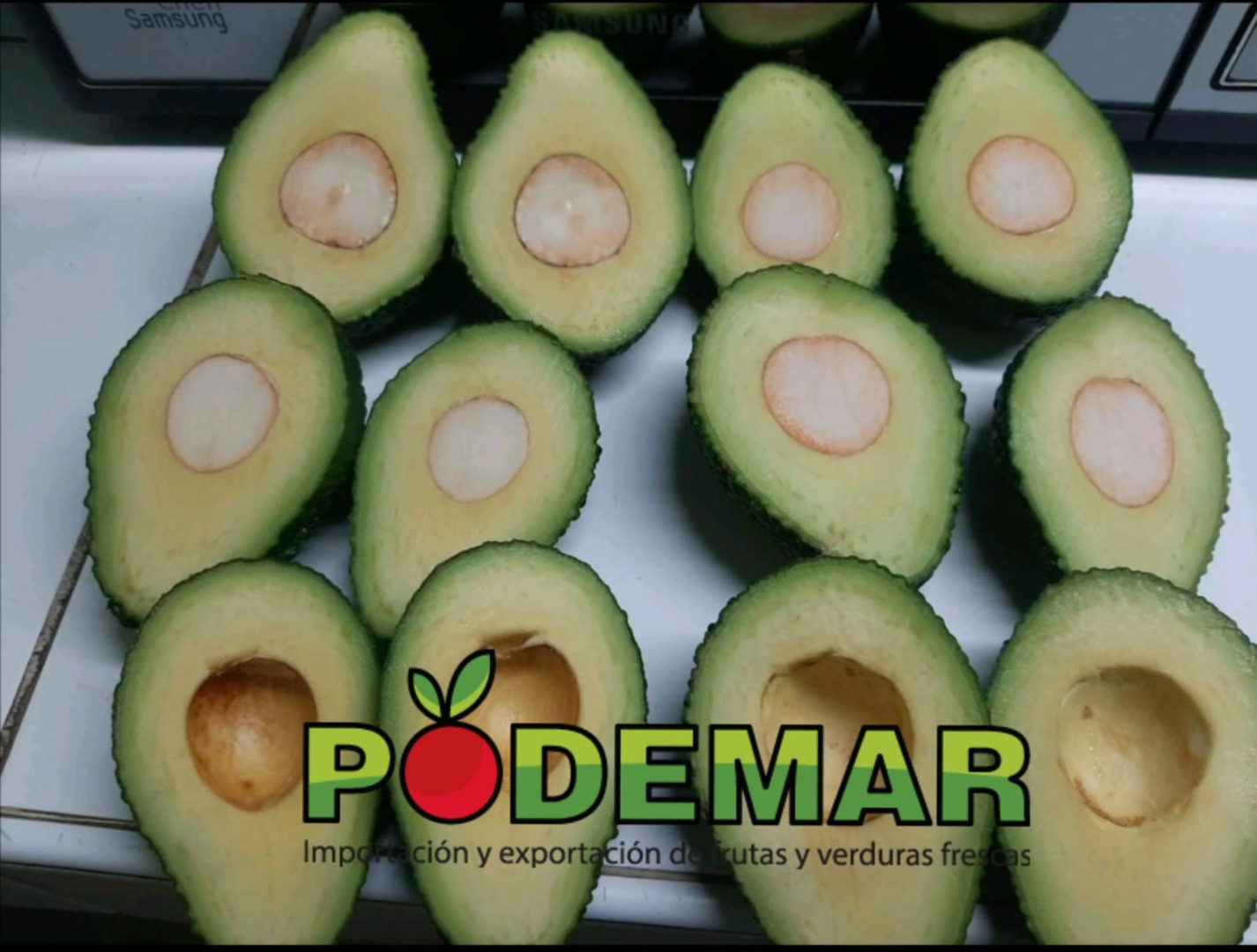 Aguacate | Imagen 3