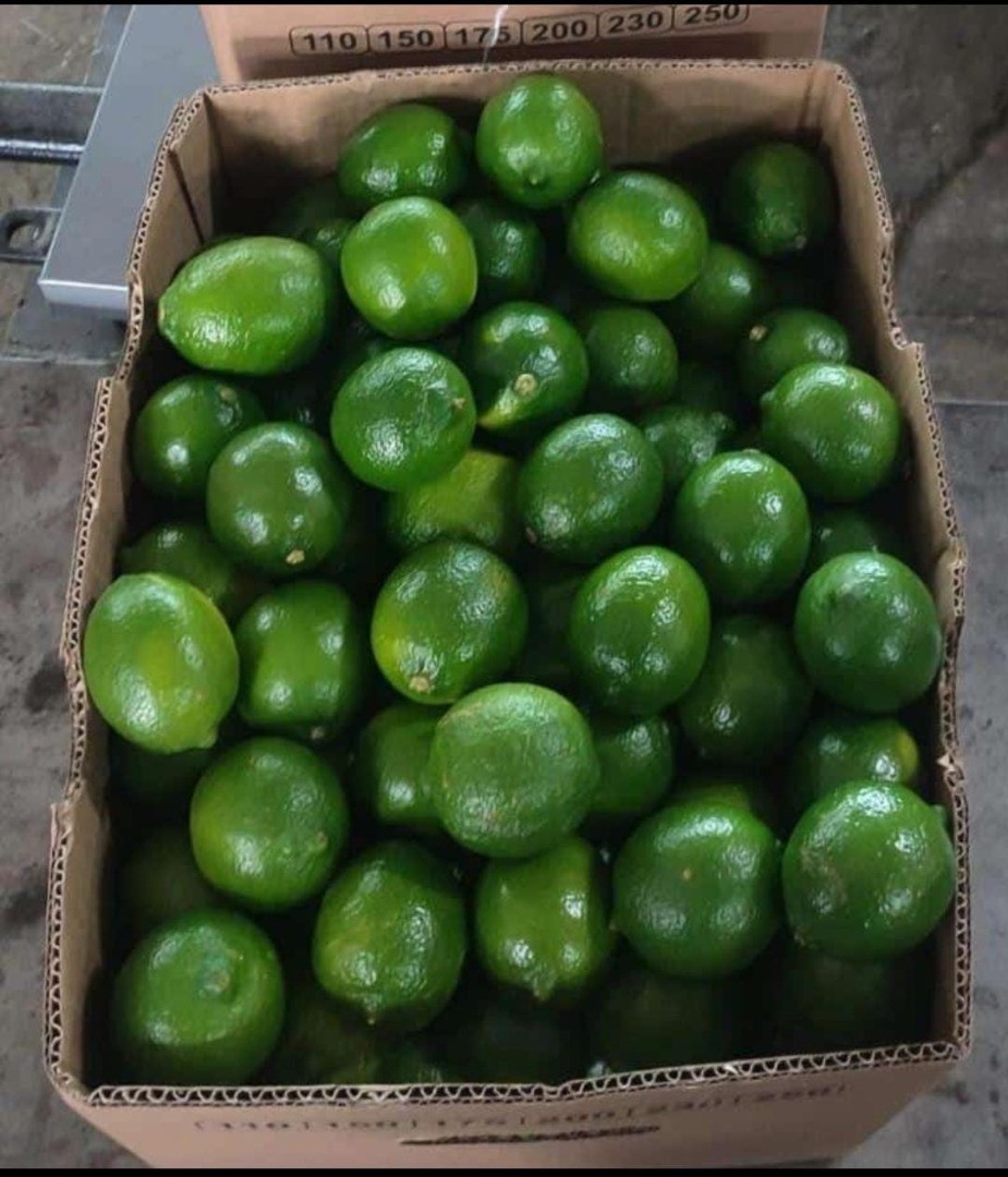 Limas | Imagen 2
