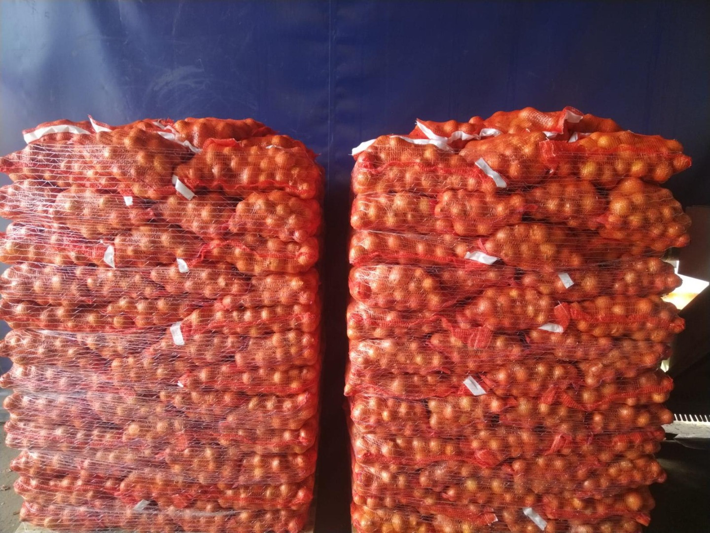 Cebollas | Imagen 1