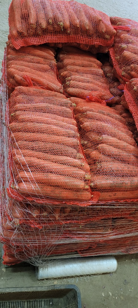 Zanahorias | Imagen 1