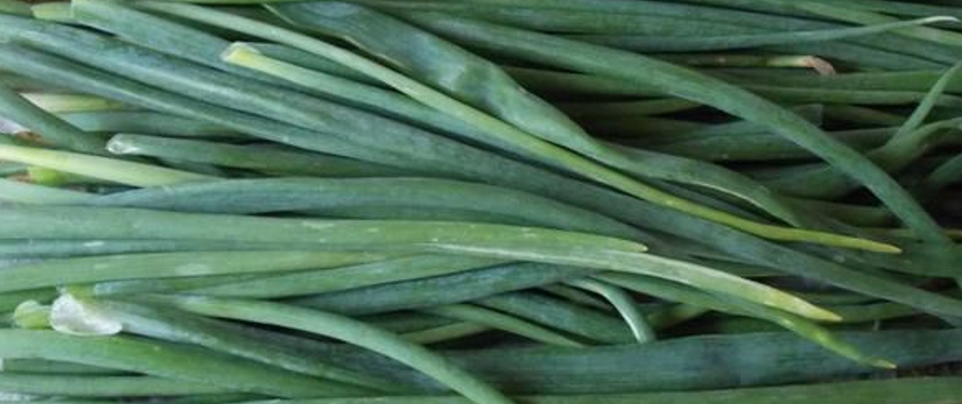 Cebolletas verdes | Imagen 1