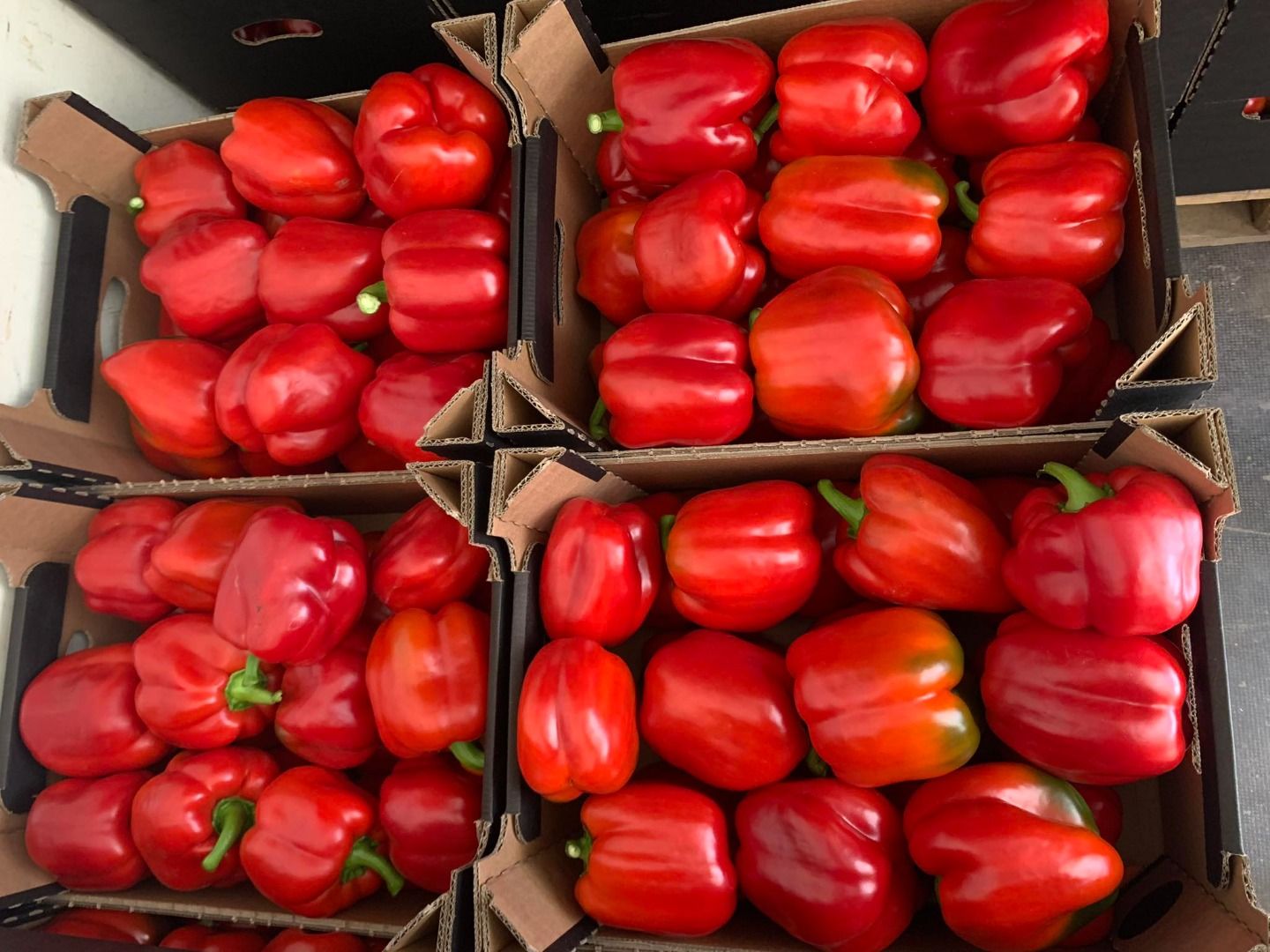 Pimiento rojo | Imagen 2