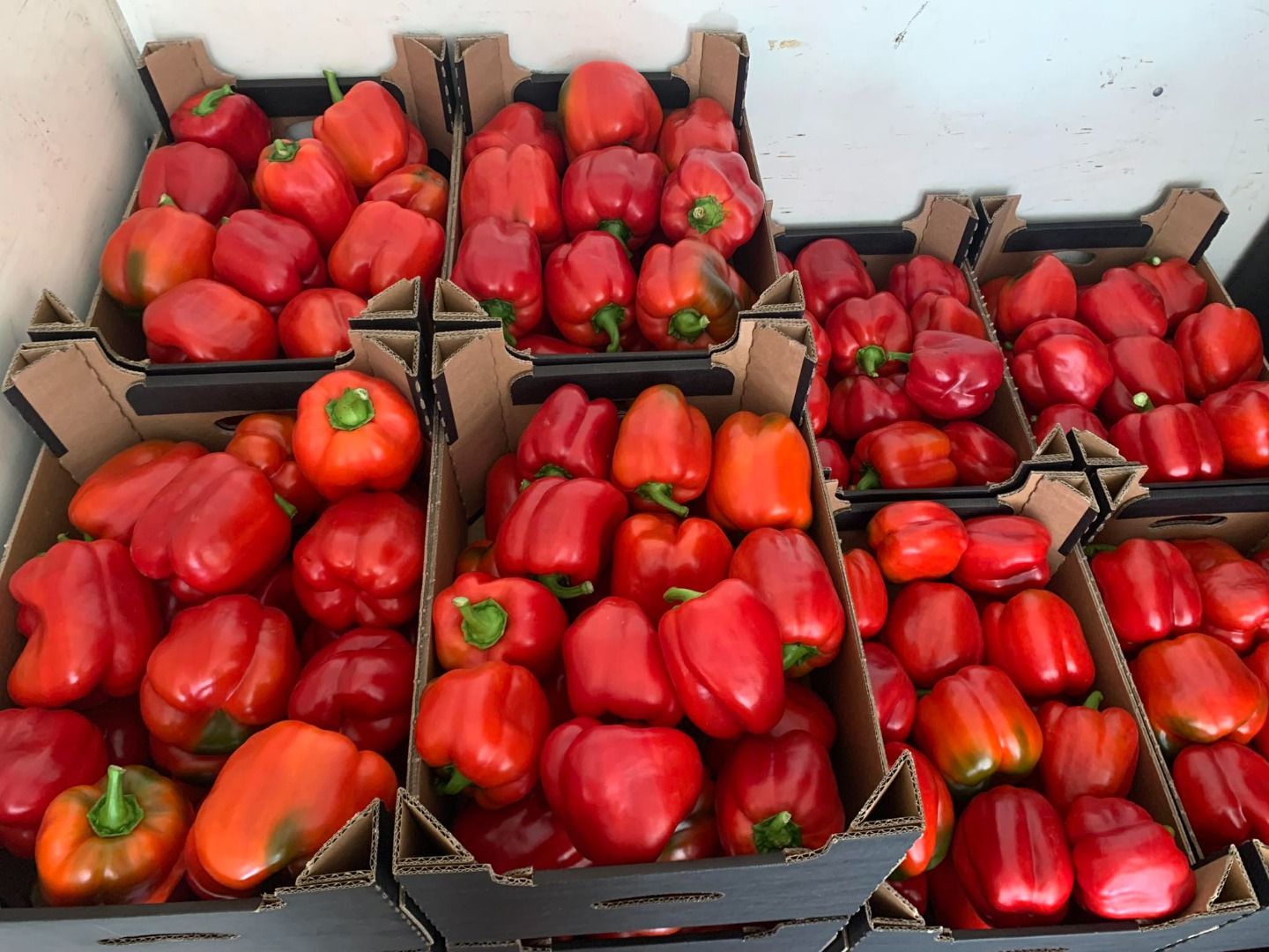 Pimiento rojo | Imagen 3