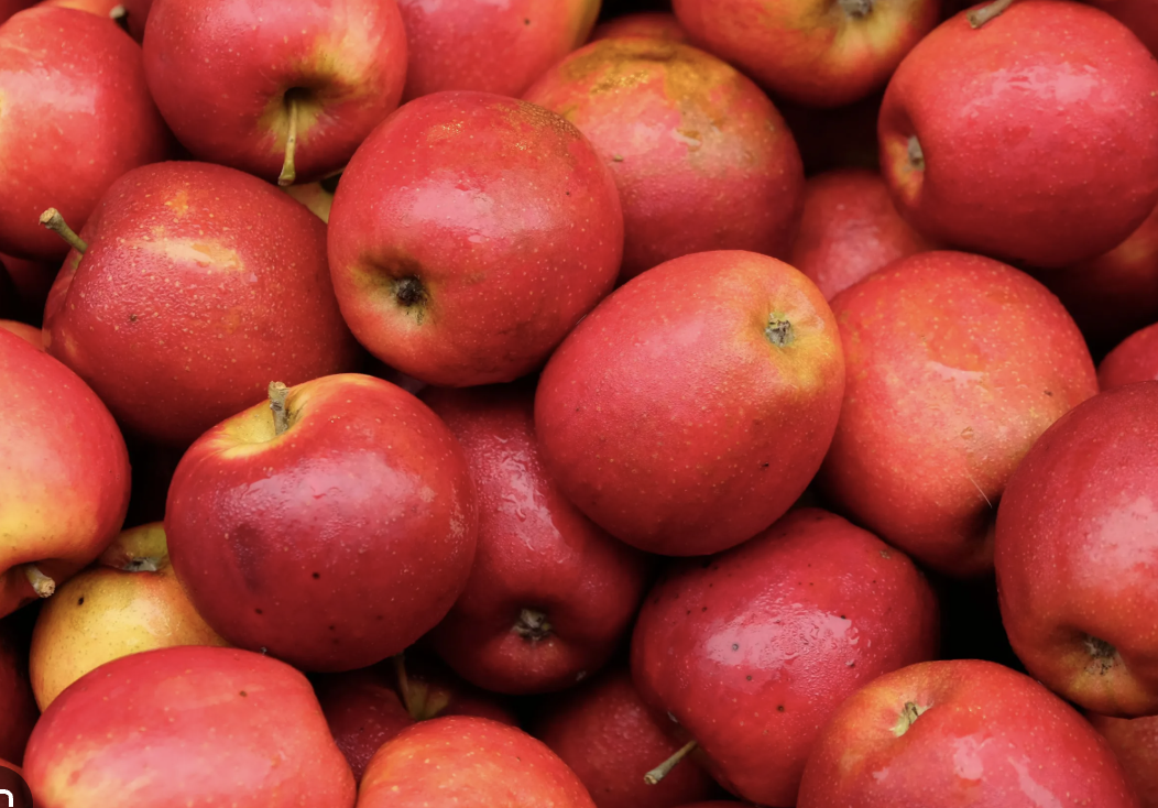 Fresh Organic Apples for Sale - Direct from the Farm | Image 1