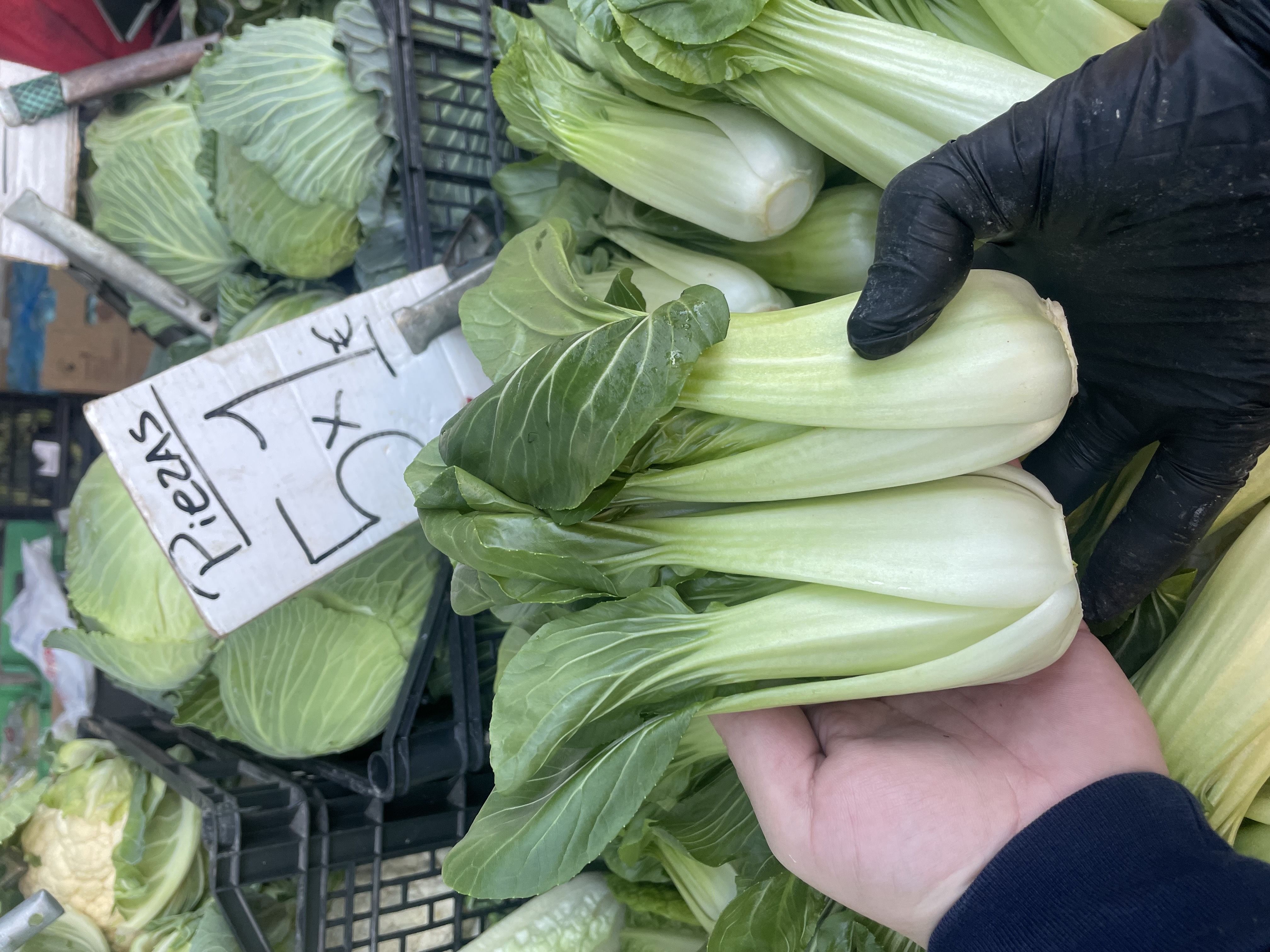 Pak choi  | Imagen 2