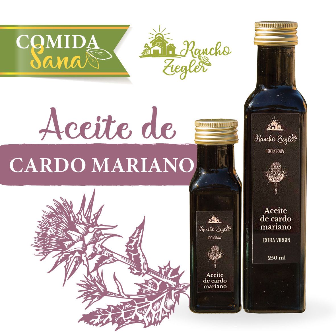 Aceite de Cardo Mariano 250 ml  | Imagen 1