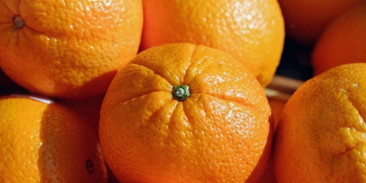 Naranja Lane-Late | Imagen 1