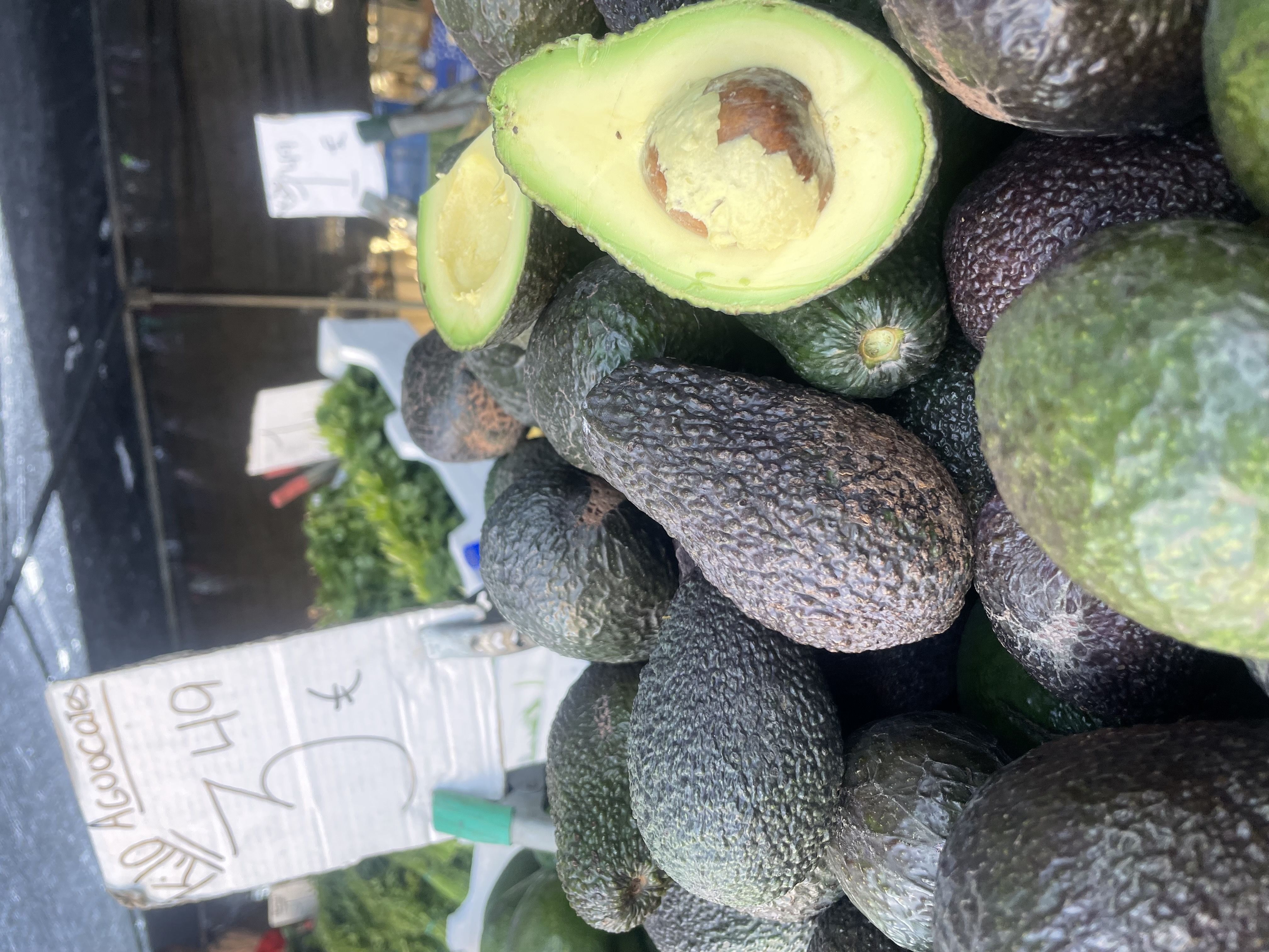 Aguacate | Imagen 1