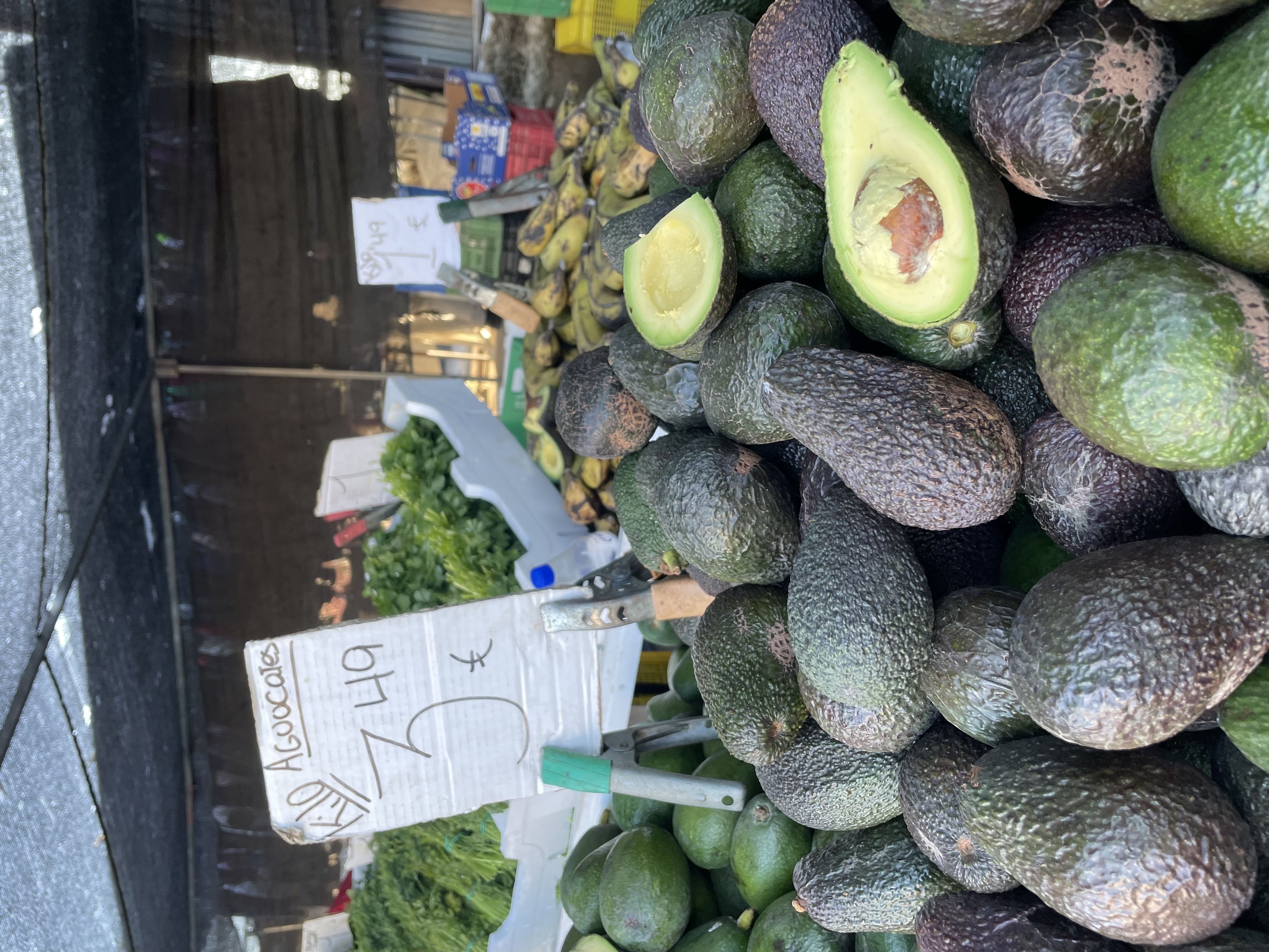 Aguacate | Imagen 2